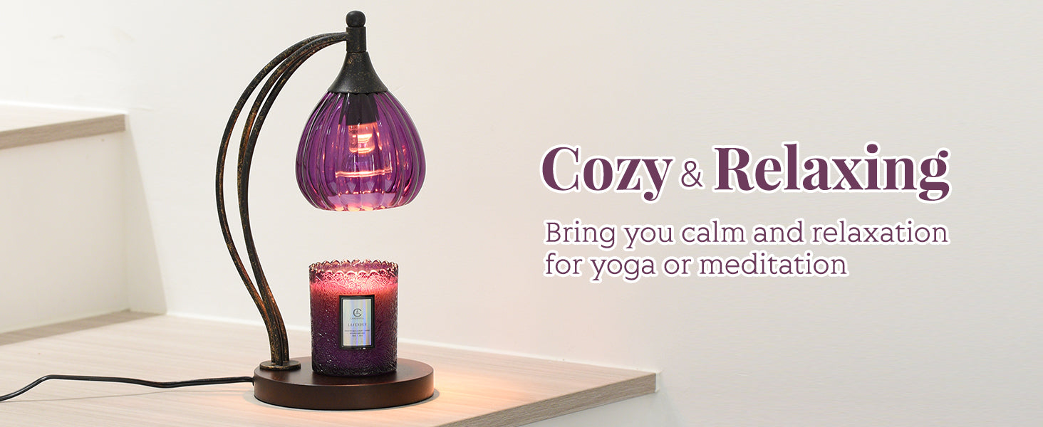 Candle Warmer Lamp with Timer Dimmer - Candle Light Warmer for Jar Candles with 2 Bulbs - Electric Candle Lamp Wax Warmer for Scented Wax Housewarming Gifts New Home Decor for Women Purple Black