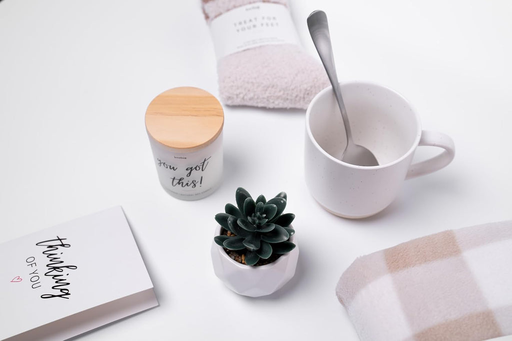 lovebug Get Well Soon Gift Basket for Women – After Surgery Gifts, Feel Better Care Package with Blanket, Candle, Socks, Mug, Spoon, Succulent – Thinking of You Self Care Gifts for Women Basket